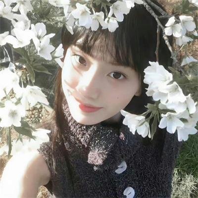 豆花依旧笑春风